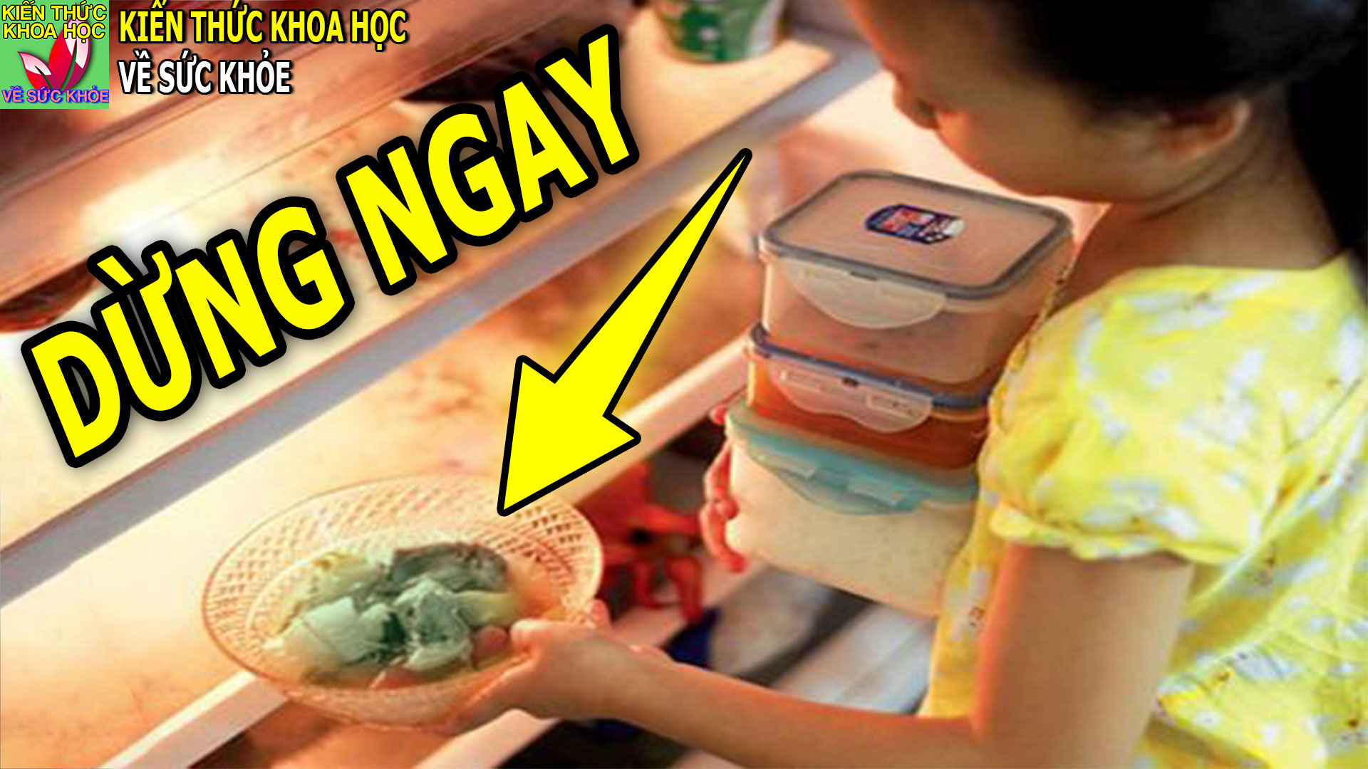 kien thuc khoa hoc ve suc khoe,kien thuc ve khoa hoc va suc khoe,kiến thức khoa học về sức khỏe chấm com,kiến thức khoa học và sức khỏe,kiến thức khoa học sức khỏe,suc khoe va doi song,trung ga luoc de qua dem an duoc khong,canh cua de qua dem co sao khong,canh để qua đêm có ăn được không,trứng luộc để qua đêm,đồ ăn để qua đêm,ăn trứng luộc để qua đêm,hải sản để qua đêm có tốt không,gỏi để qua đêm,nộm để qua đêm,nấm để qua đêm,trà để qua đêm,rau để qua đêm