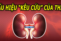 5-dau-hieu-canh-bao-chuc-nang-than-suy-giam