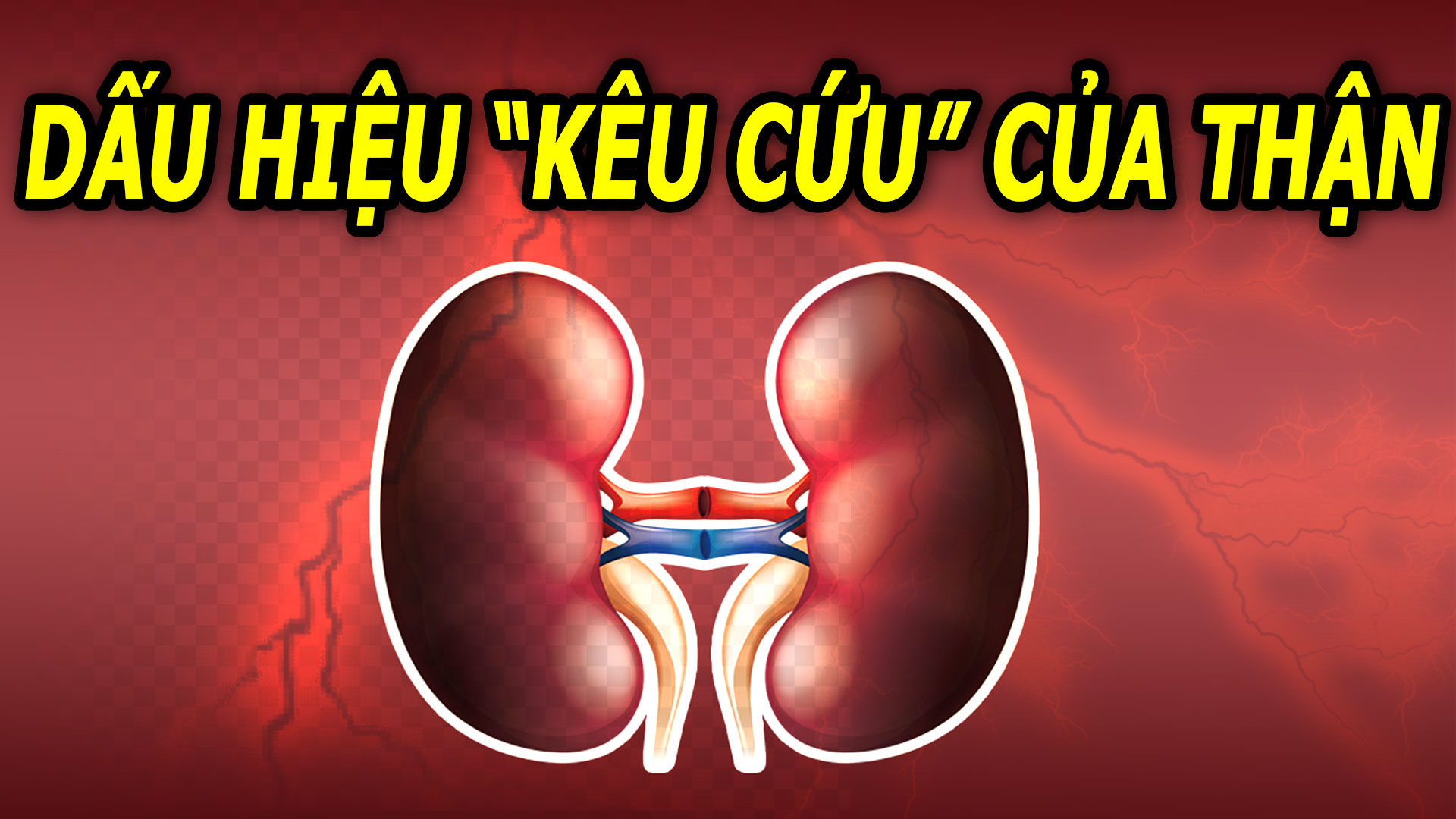 5-dau-hieu-canh-bao-chuc-nang-than-suy-giam