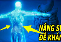 9-loai-thuc-pham-tot-cho-he-tieu-hoa-giup-nang-cao-suc-de-khang