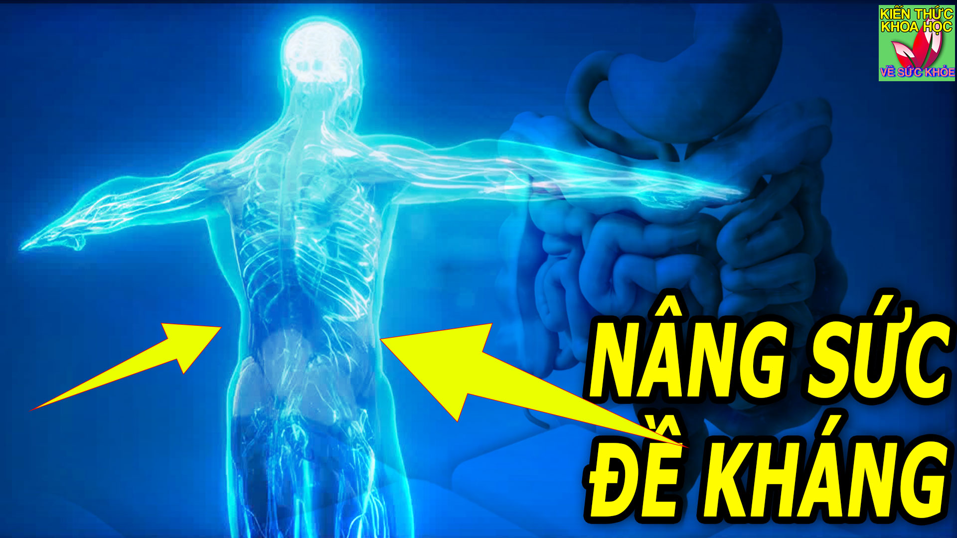 9-loai-thuc-pham-tot-cho-he-tieu-hoa-giup-nang-cao-suc-de-khang