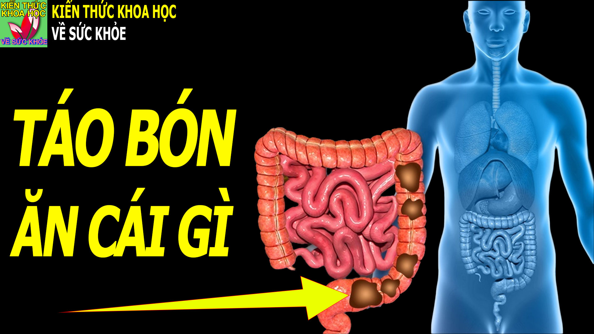 bi-tao-bon-an-cai-gi-cho-nhanh-khoi