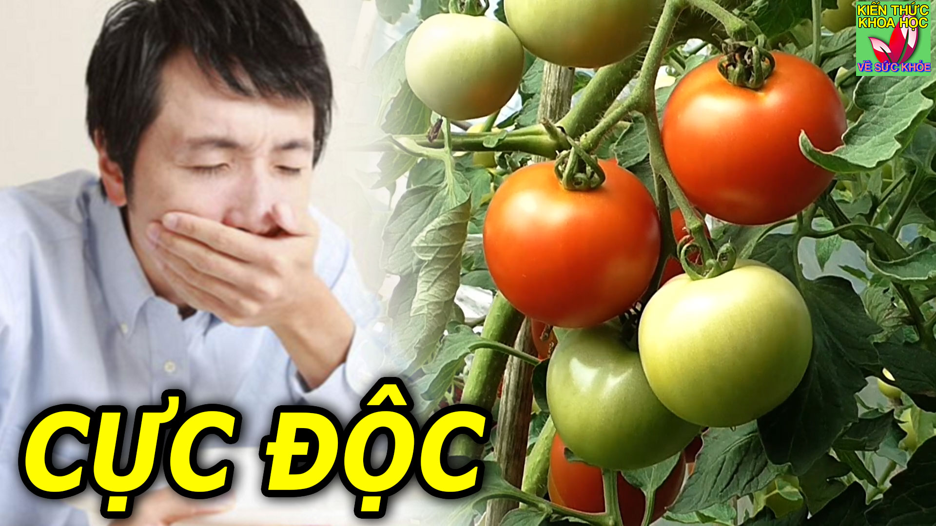canh-giac-7-loai-thuc-pham-de-gay-ngo-doc-neu-an-sai-cach