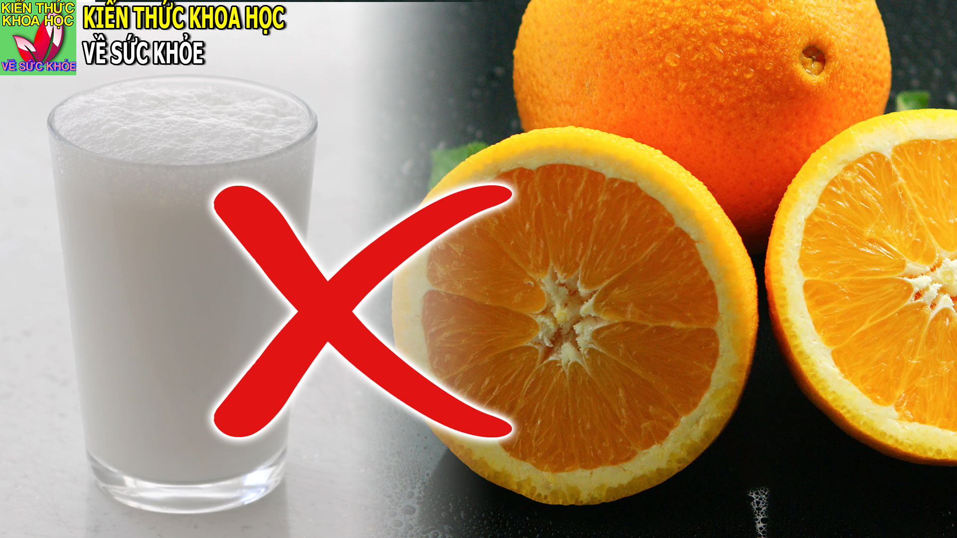 nhung-thuc-pham-mon-an-ky-nhau-tranh-dung-chung