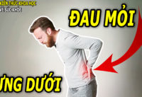 thuong-xuyen-bi-dau-lung-duoi-co-the-la-dau-hieu-cua-van-de-nay