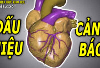 3-dau-hieu-co-the-canh-bao-som-con-nhoi-mau-co-tim-sap-xay-ra