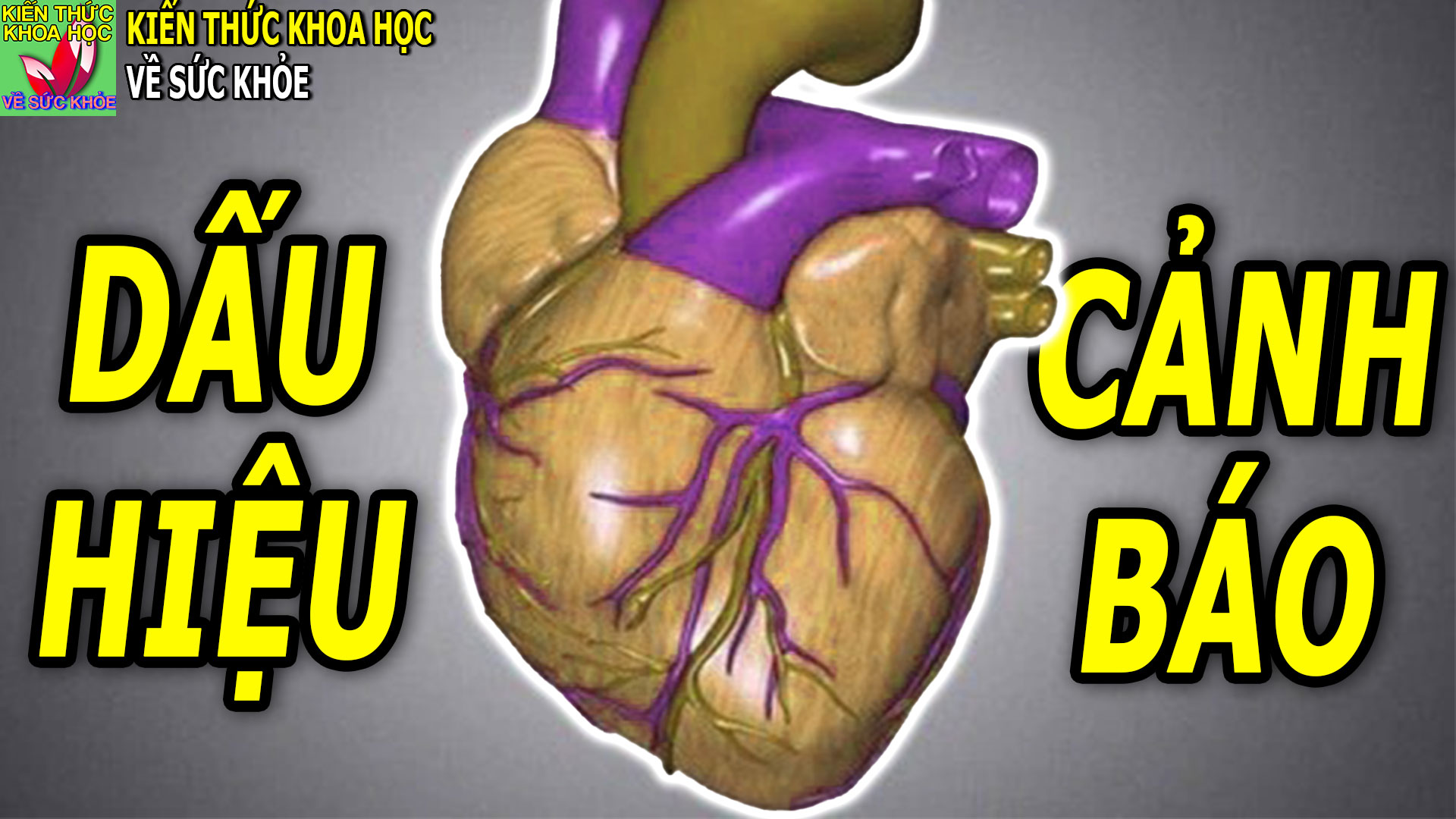 3-dau-hieu-co-the-canh-bao-som-con-nhoi-mau-co-tim-sap-xay-ra