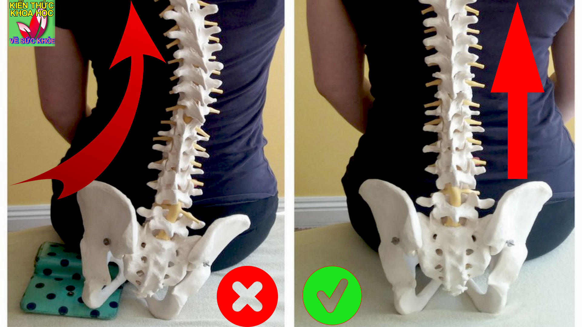 9-thoi-quen-tuong-khong-hai-ma-hai-khong-tuong