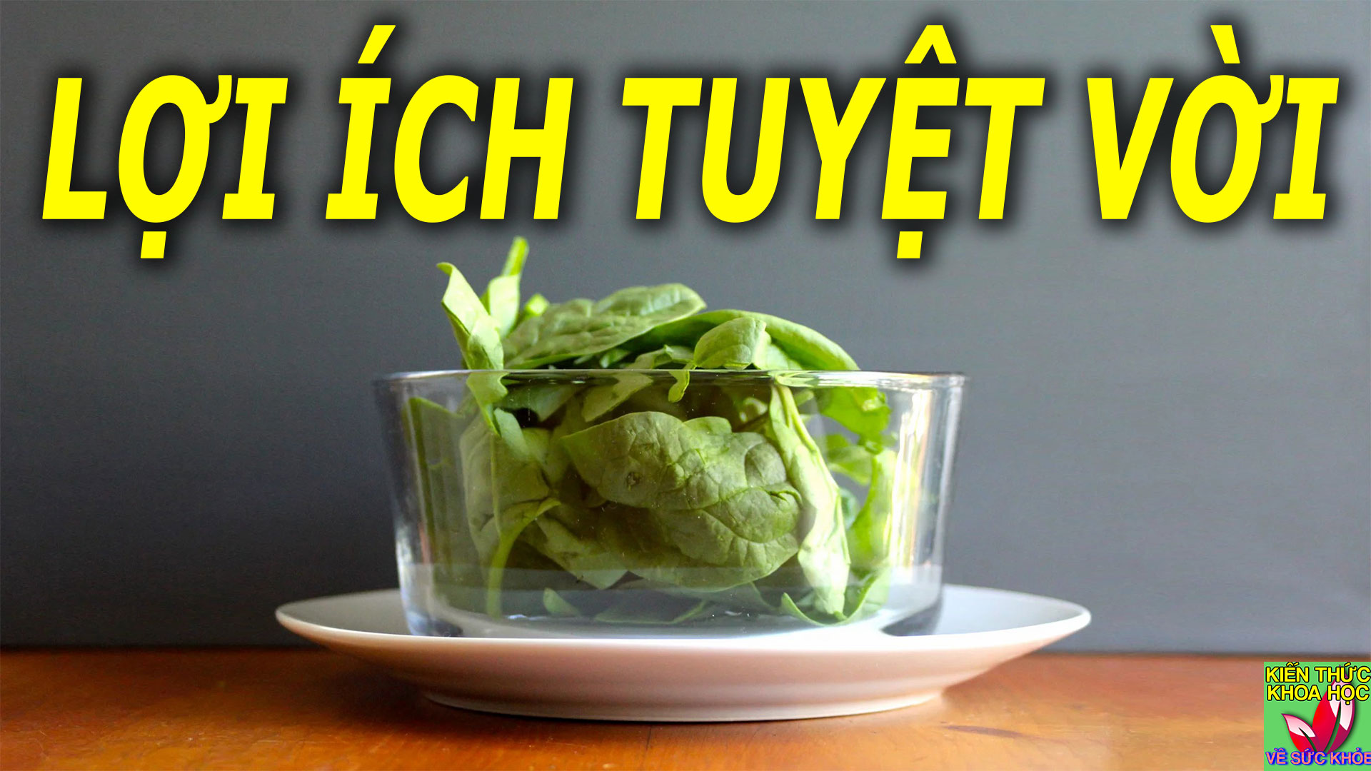 mot-chen-rau-moi-ngay-co-the-se-rat-biet-on-ban