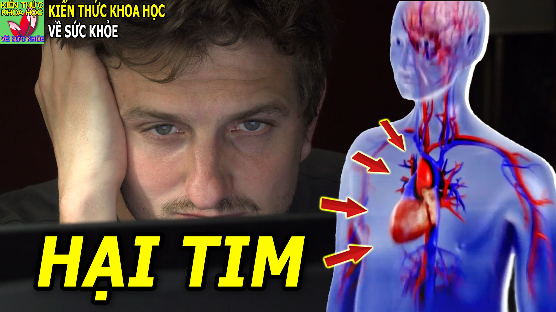 thuong-xuyen-di-ngu-muon-lam-tang-nguy-co-mac-benh-tim