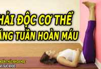 5-bai-tap-thai-doc-tang-cuong-luu-thong-khi-huyet-giam-dau-moi-co-the