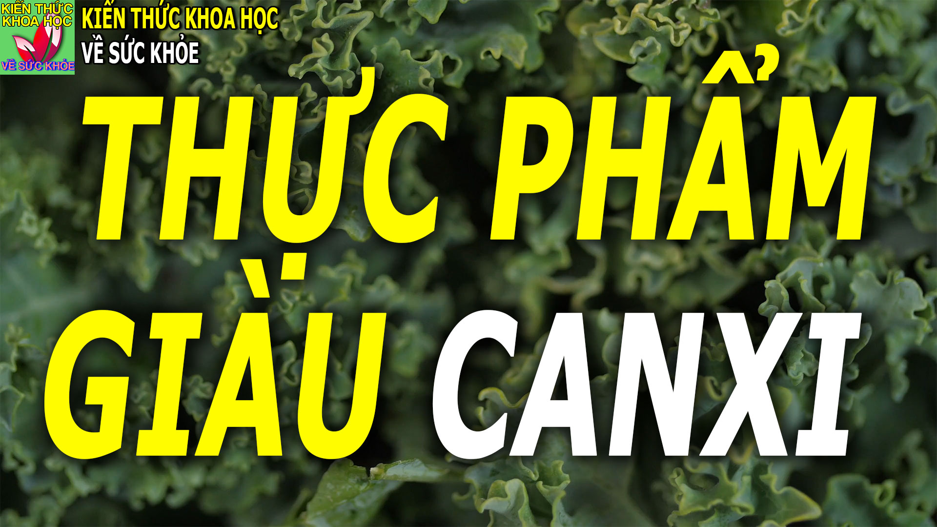 8-loai-rau-chua-nhieu-canxi-nhat-nhung-it-nguoi-de-y