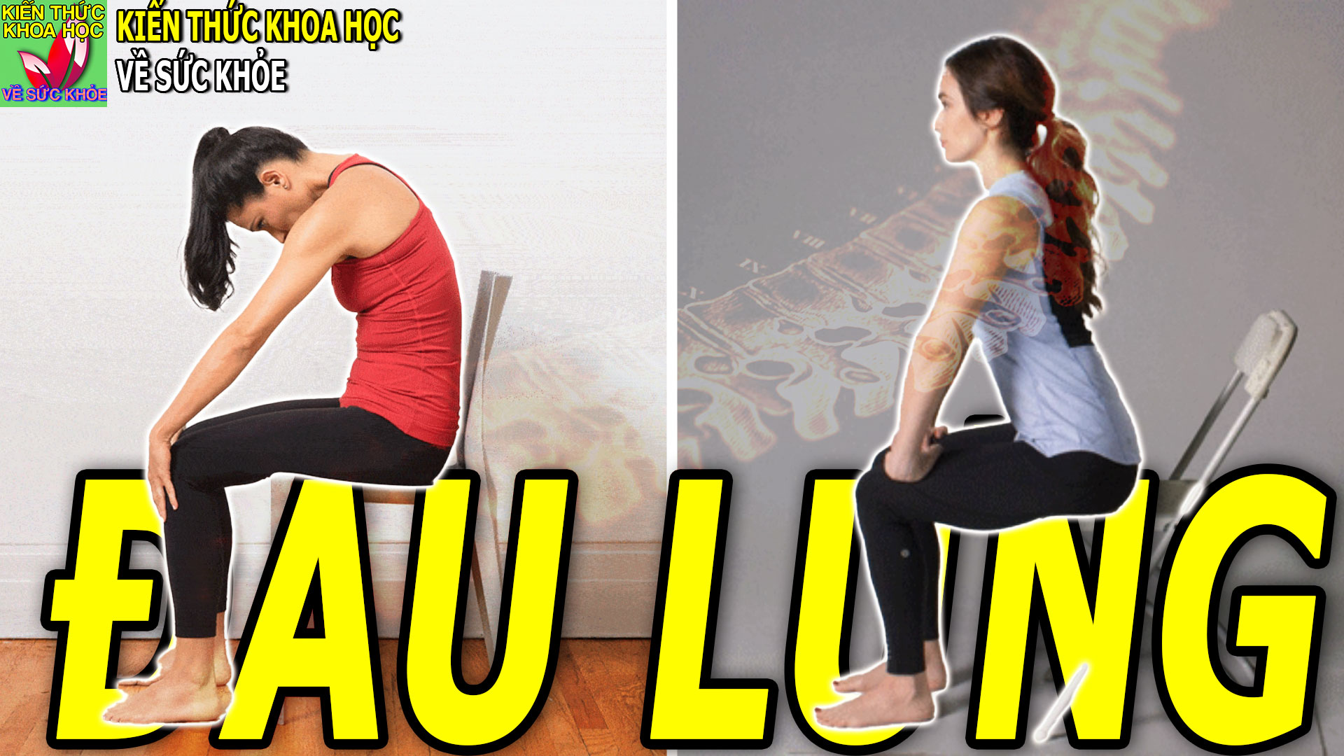 bai-tap-7-dong-tac-giam-dau-lung-cuc-hieu-qua