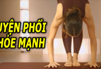 bai-tap-giup-phoi-khoe-manh-chi-vai-phut-moi-ngaybai-tap-giup-phoi-khoe-manh-chi-vai-phut-moi-ngay