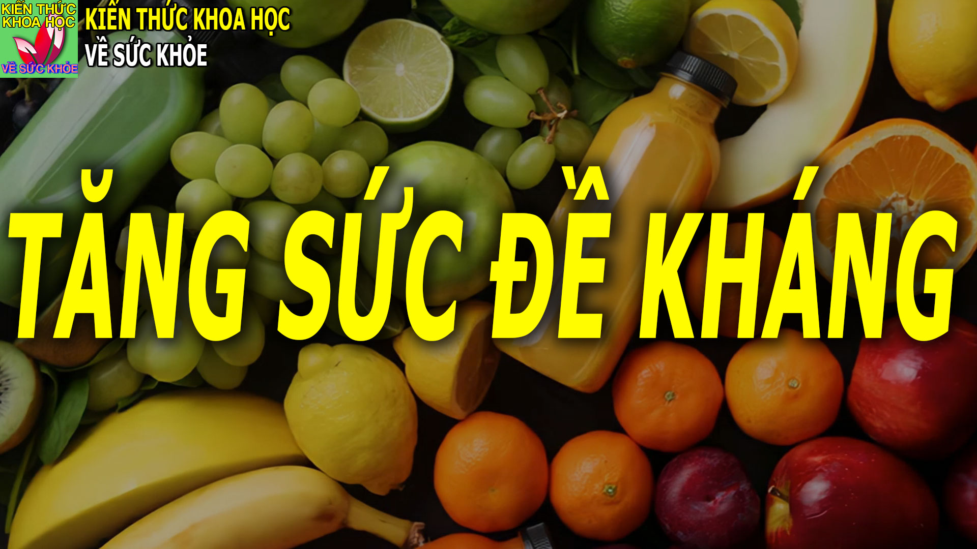 cach-tang-suc-de-khang-cai-thien-he-mien-dich-giup-phong-chong-benh-tat