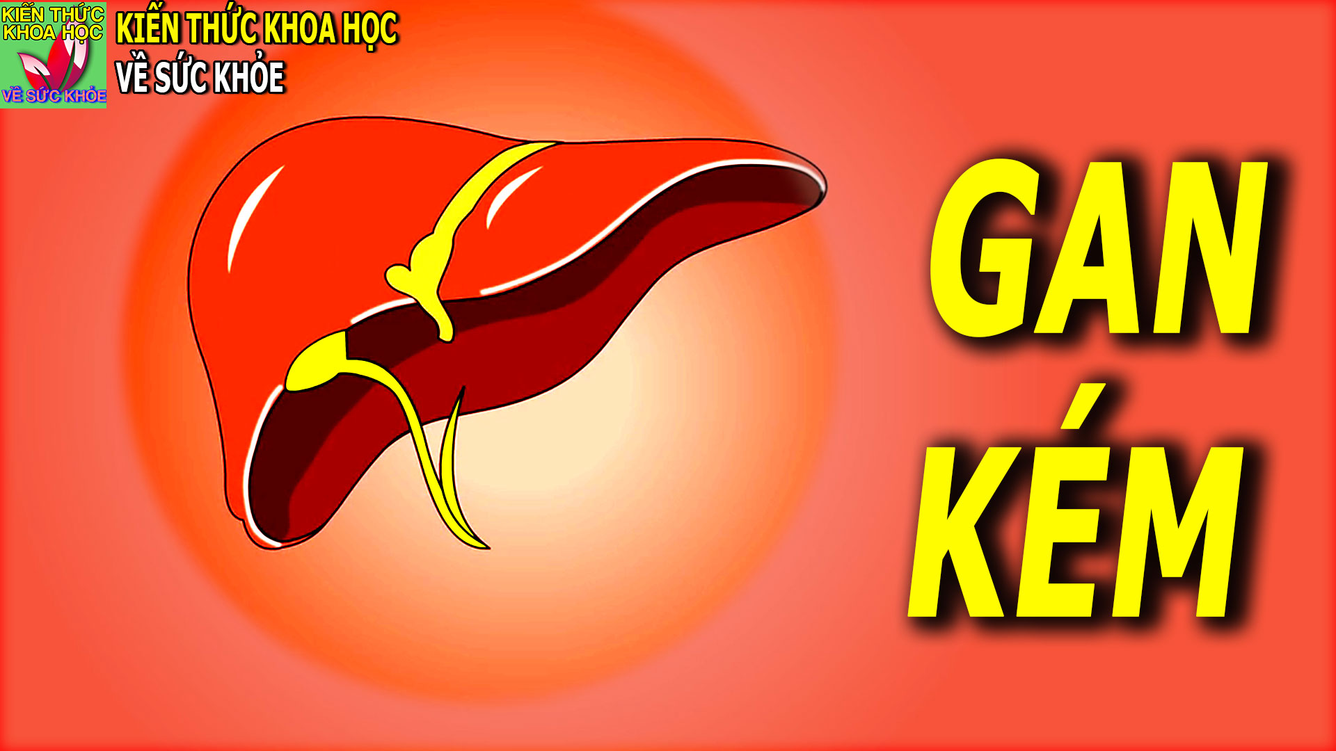 co-3-dau-hieu-nay-khi-di-ve-sinh-nen-di-kiem-tra-gan-som