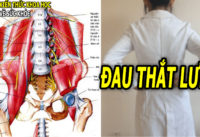 dau-that-lung-cach-bam-huyet-va-phong-tri-dau-that-lung-hieu-qua