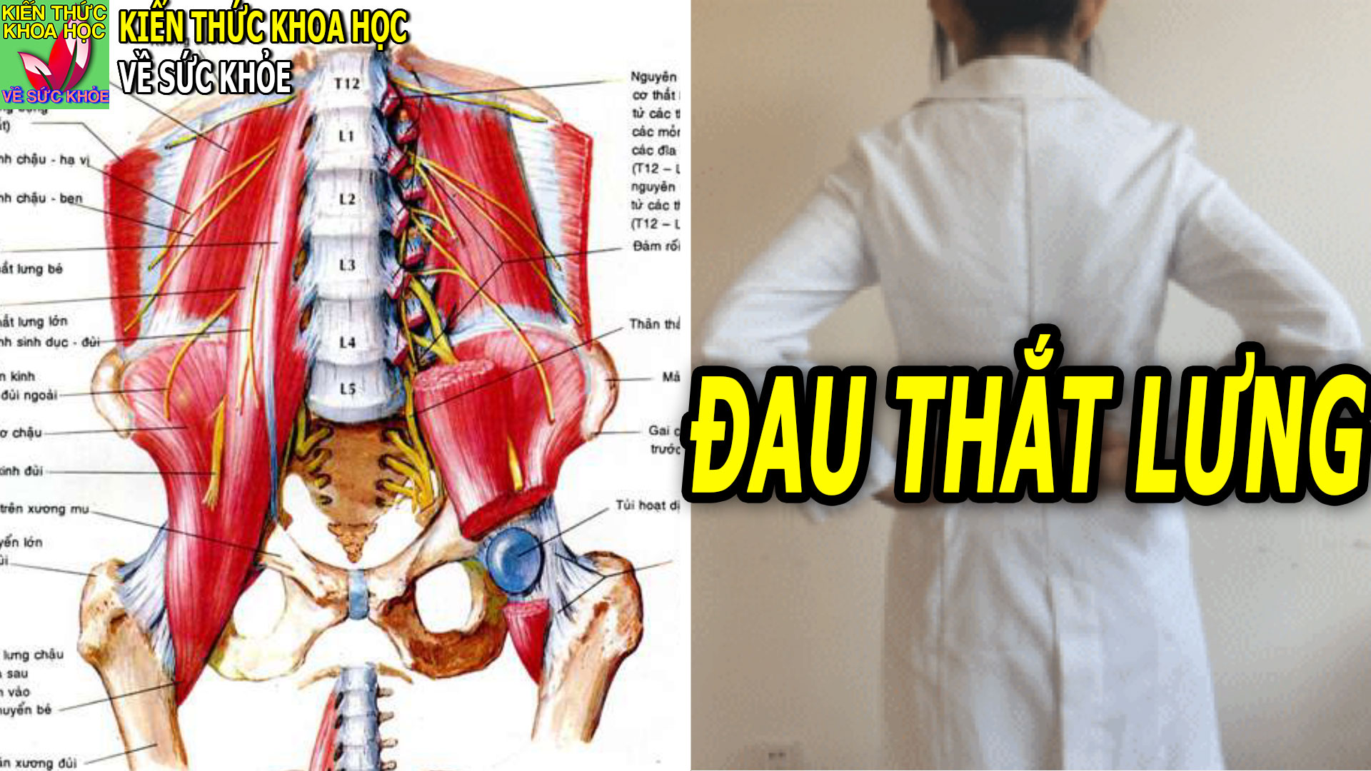 dau-that-lung-cach-bam-huyet-va-phong-tri-dau-that-lung-hieu-qua