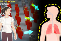 4-tuyen-phong-ngu-bao-ve-co-the-khoi-virus-xam-nhap