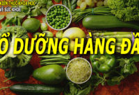 6-loai-rau-cu-cuc-ky-bo-duong-giup-ban-khoe-manh-moi-ngay