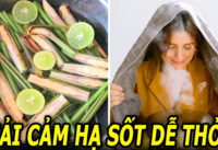 cach-lam-noi-nuoc-xong-giam-ho-ha-sot-giai-cam-thong-khi-de-tho