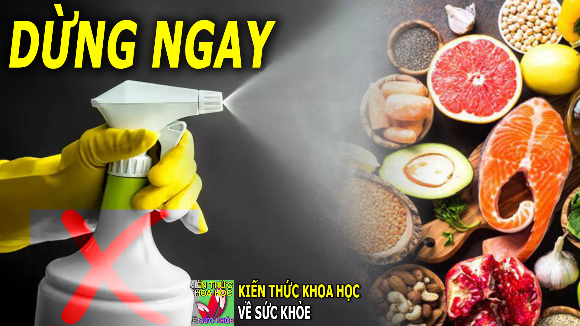 co-nen-phun-chat-khu-khuan-len-thuc-pham