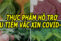 giam-tac-dung-phu-sau-tiem-vac-xin-covid-19-nho-4-loai-la-san-co-trong-vuon-nha