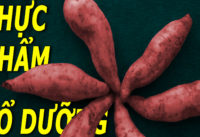 khoai-lang-mon-an-re-tien-nhung-giau-gia-tri-dinh-duong