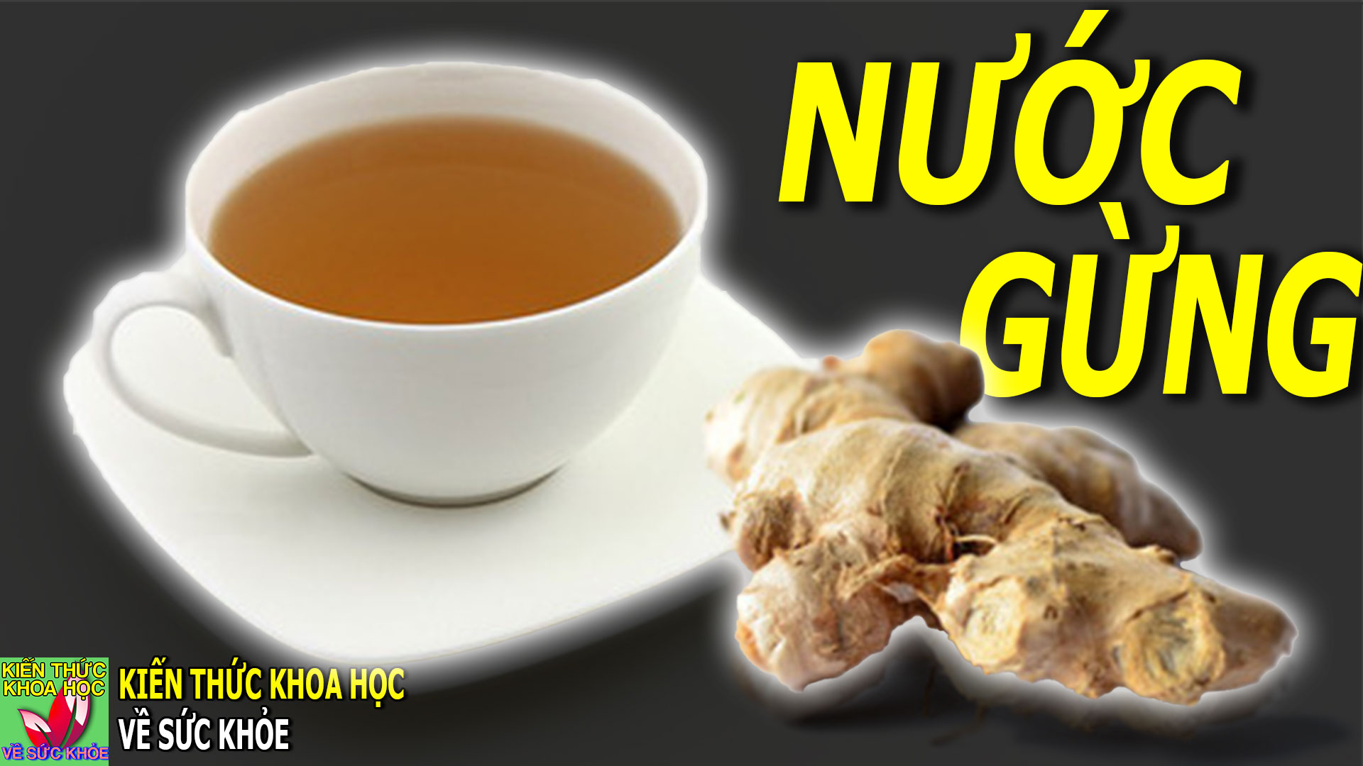 mot-coc-nuoc-gung-7-loi-ich-suc-khoe