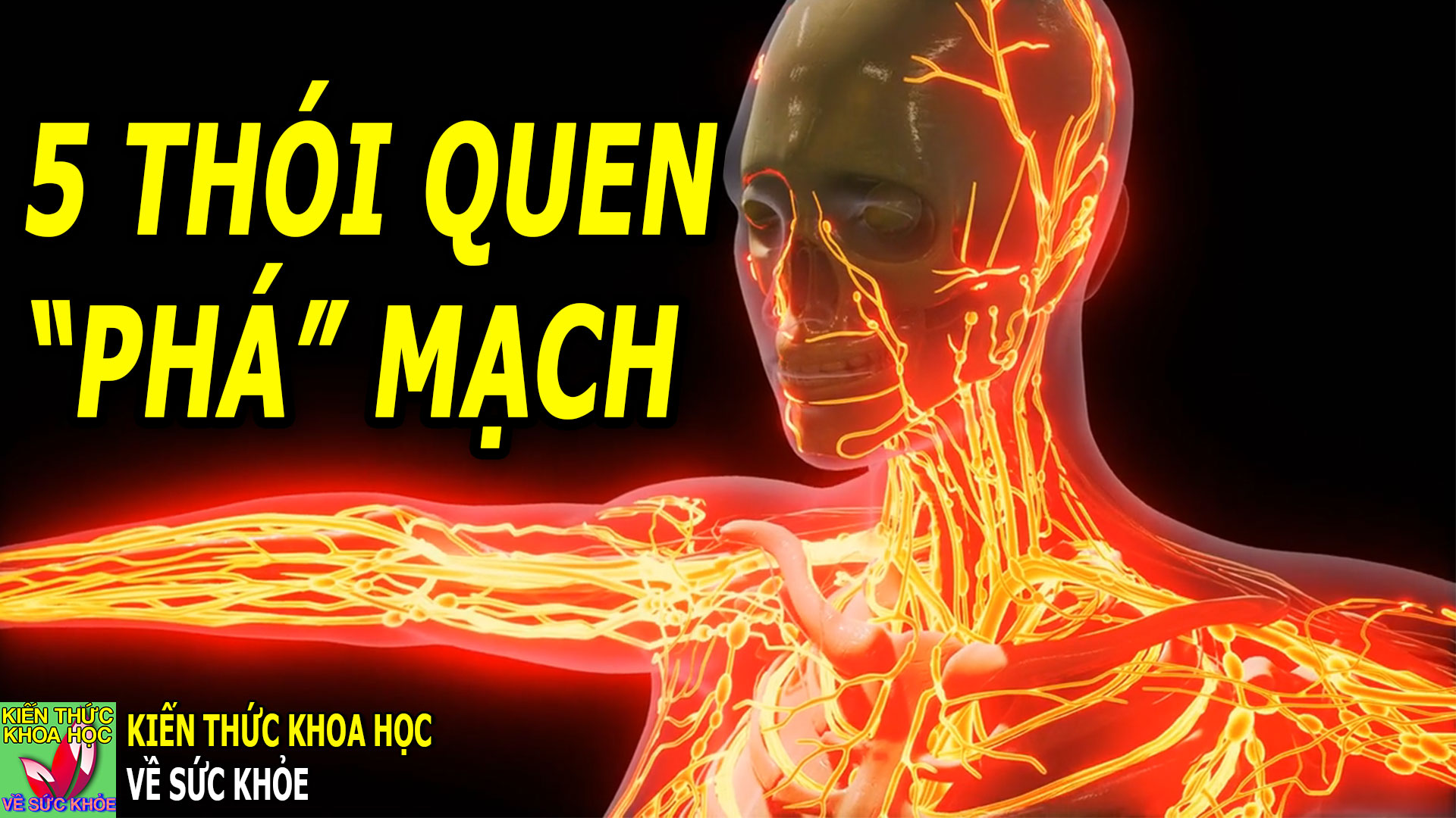 muon-mach-mau-khoe-manh-tranh-lam-5-viec-nay