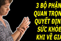 3-bo-phan-quan-trong-can-cham-soc-ky-luong-truoc-khi-ve-gia