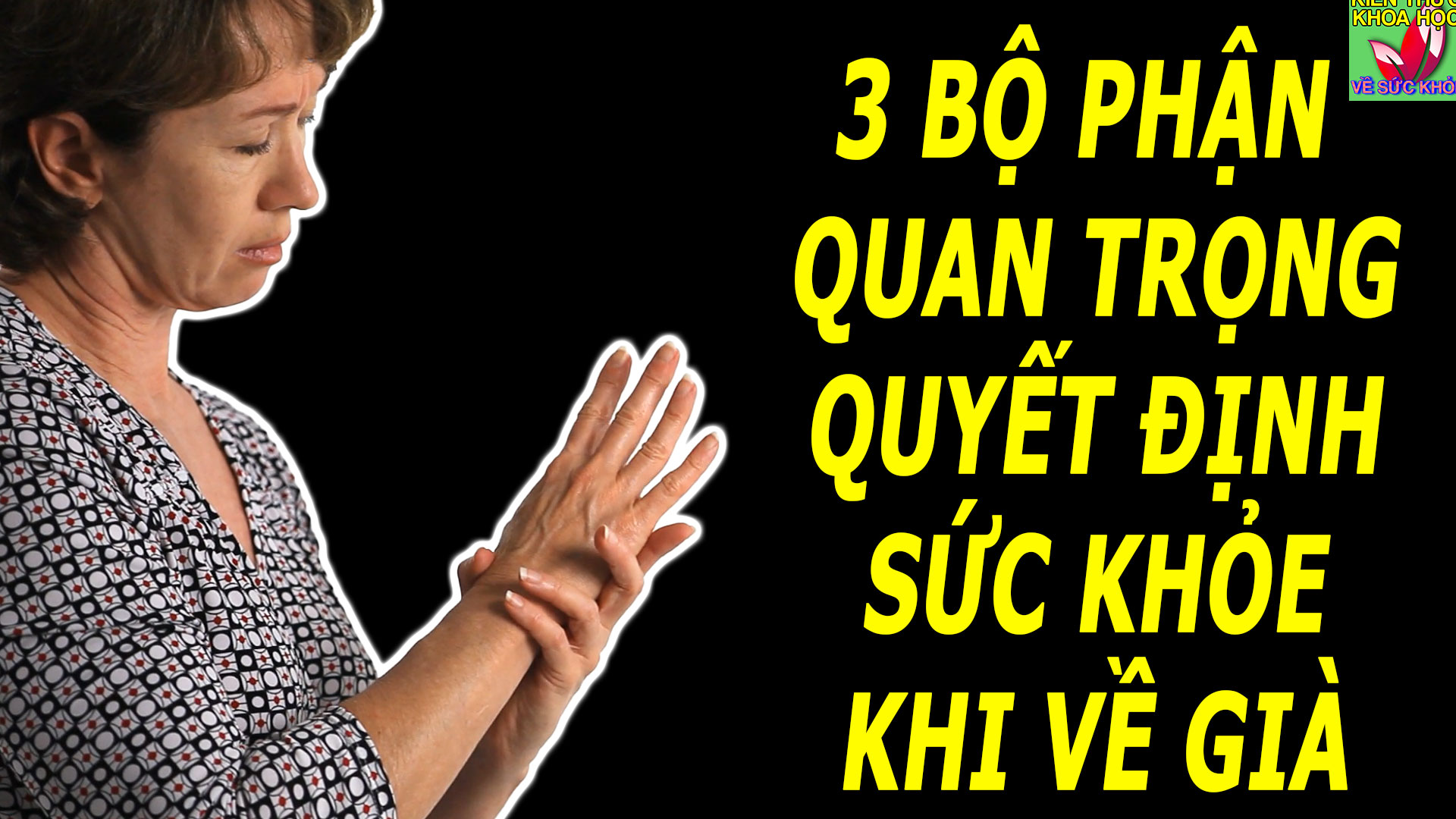 3-bo-phan-quan-trong-can-cham-soc-ky-luong-truoc-khi-ve-gia