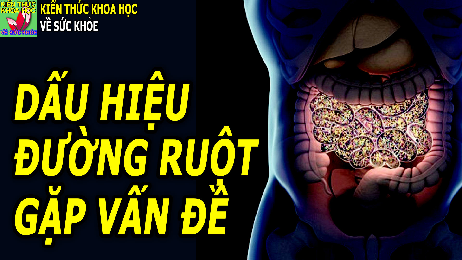 3-dau-hieu-canh-bao-duong-ruot-dang-co-van-de