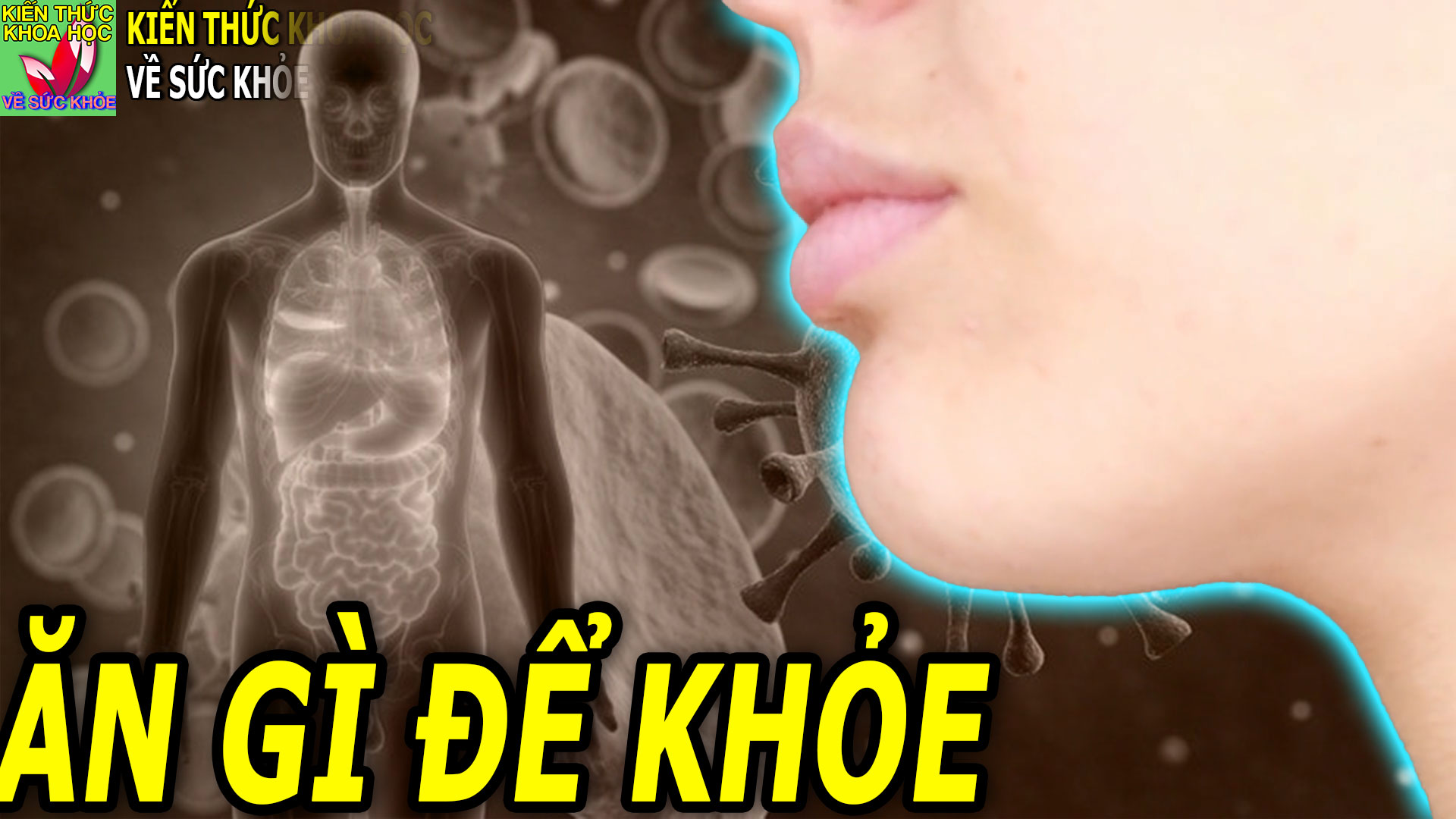 8-nhom-thuc-pham-neu-an-thuong-xuyen-co-the-se-rat-biet-on-ban