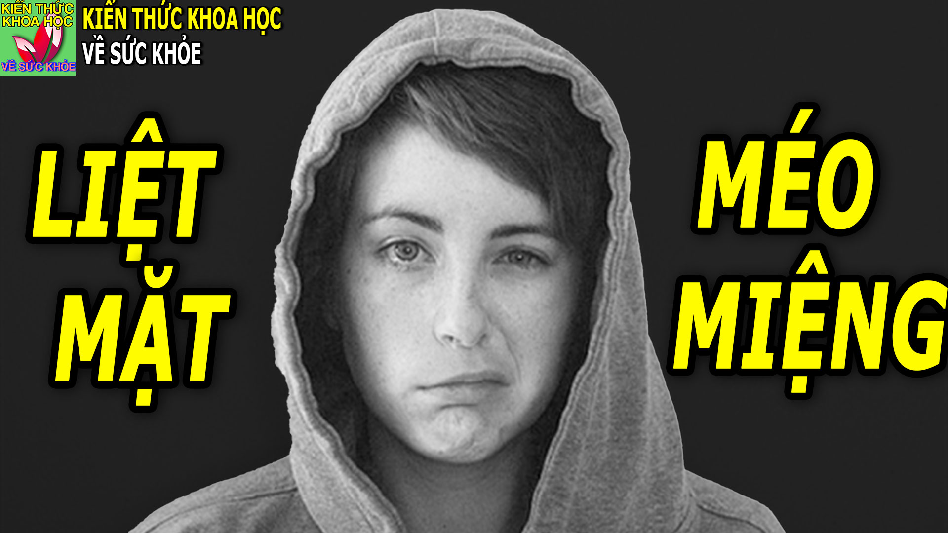 liet-mat-meo-mieng-vi-thoi-quen-ngu-sai-cach