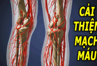 3-thoi-quen-don-gian-giup-mach-mau-van-hanh-tot