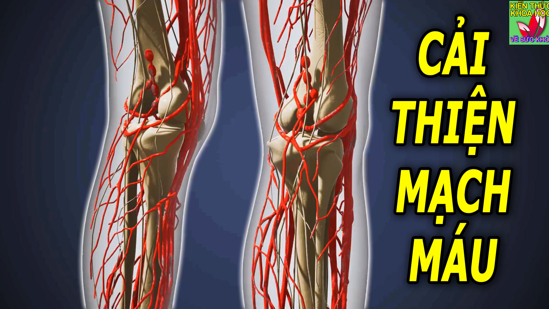 3-thoi-quen-don-gian-giup-mach-mau-van-hanh-tot