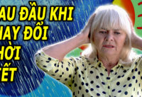 giam-dau-dau-moi-khi-thay-doi-thoi-tiet