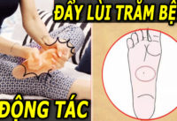 moi-ngay-danh-ra-vai-phut-giup-day-lui-hon-100-loai-benh