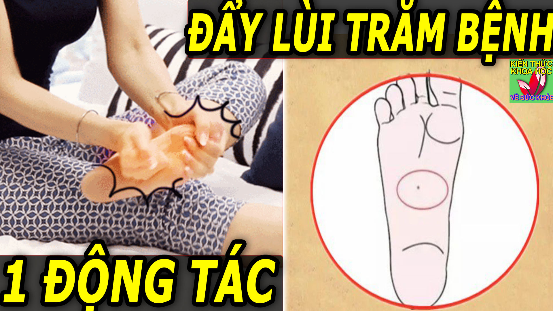 moi-ngay-danh-ra-vai-phut-giup-day-lui-hon-100-loai-benh