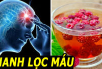 moi-ngay-mot-nam-giup-ho-tro-lam-sach-va-tre-hoa-mach-mau