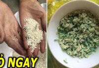 sai-lam-khi-vo-gao-nau-com-ai-cung-nen-biet-som