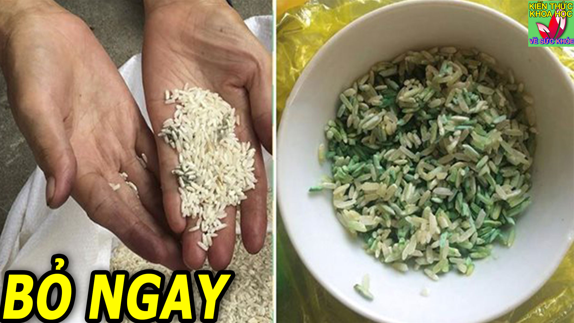 sai-lam-khi-vo-gao-nau-com-ai-cung-nen-biet-som