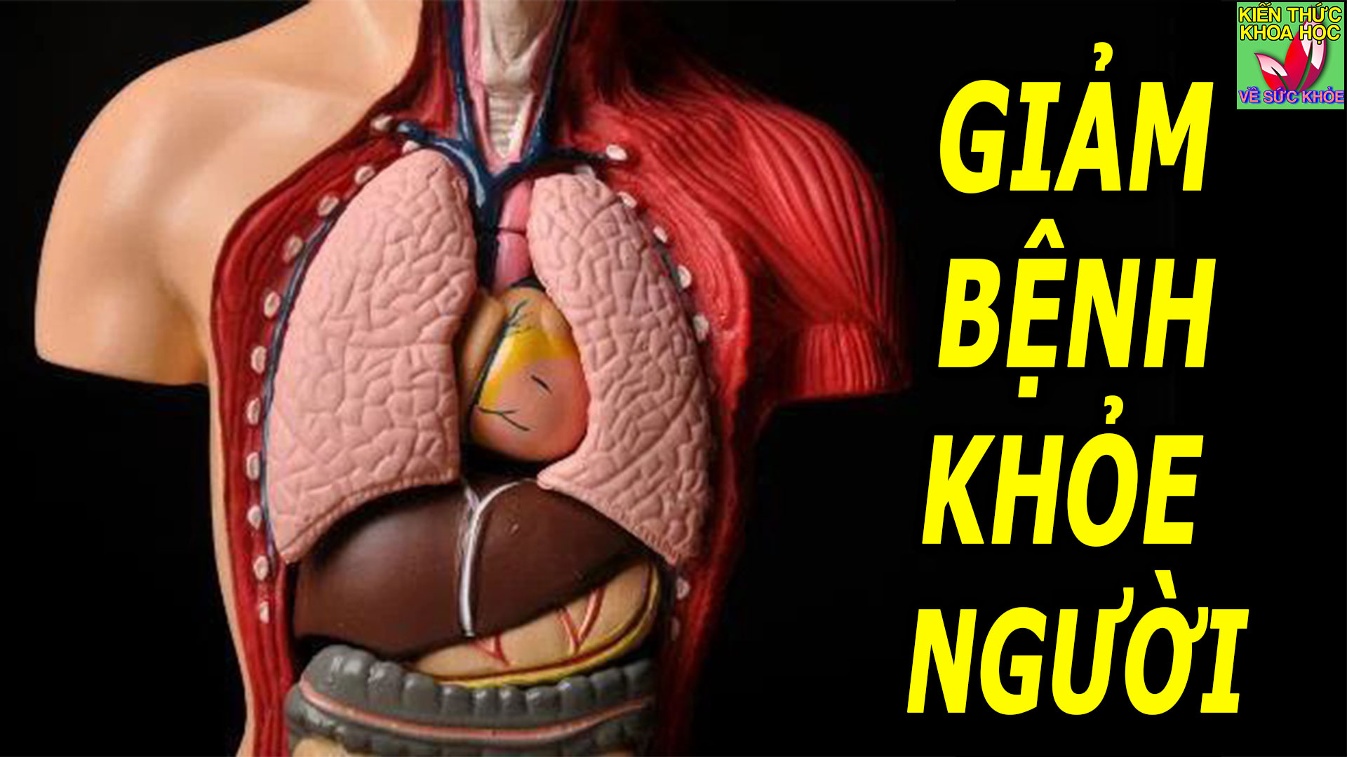 thuong-xuyen-lam-3-viec-nay-giup-giam-benh-tat-keo-dai-tuoi-tho