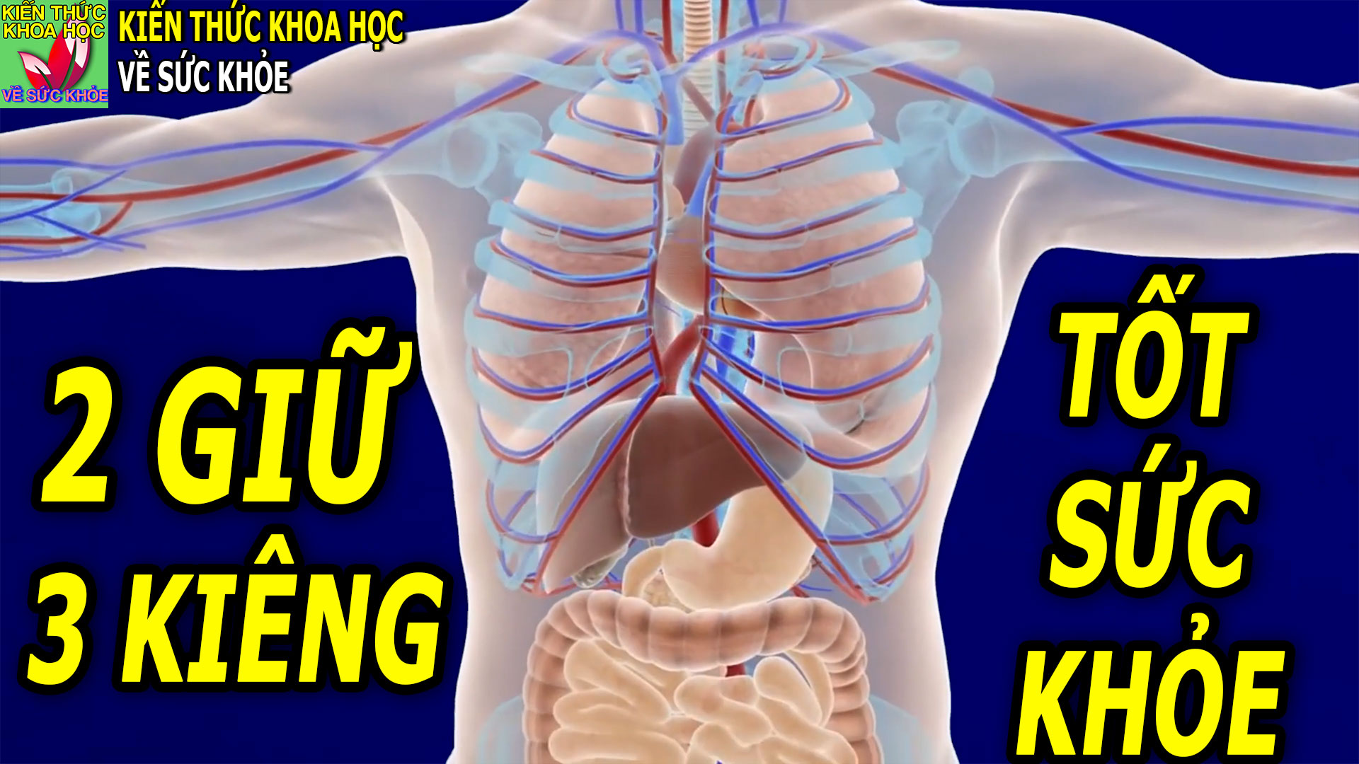 2-giu-3-kieng-de-khoe-manh-khi-ve-gia