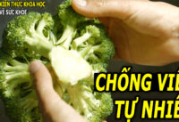 6-thuc-pham-co-kha-nang-chong-viem-tu-nhien-nen-an-moi-ngay