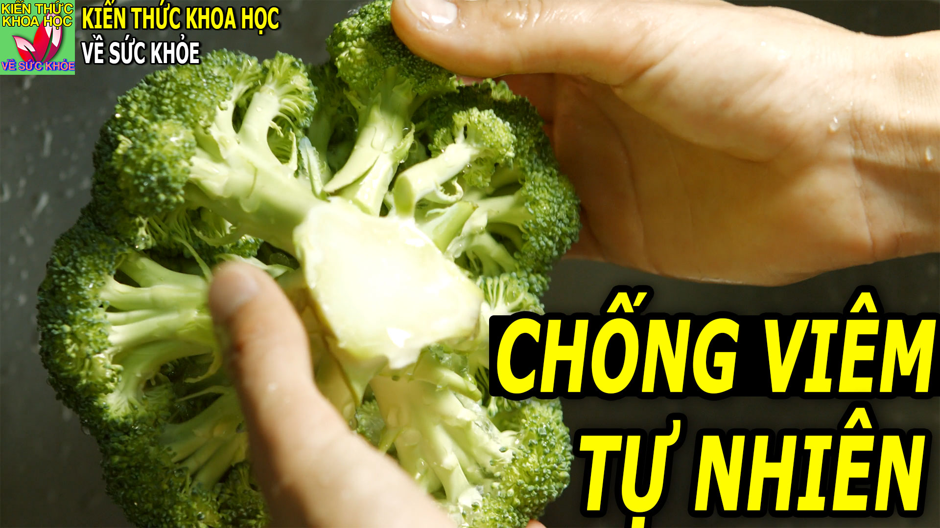 6-thuc-pham-co-kha-nang-chong-viem-tu-nhien-nen-an-moi-ngay