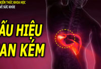 nguoi-gan-kem-co-the-thuong-phat-ra-2-cho-ngua-3-cho-den