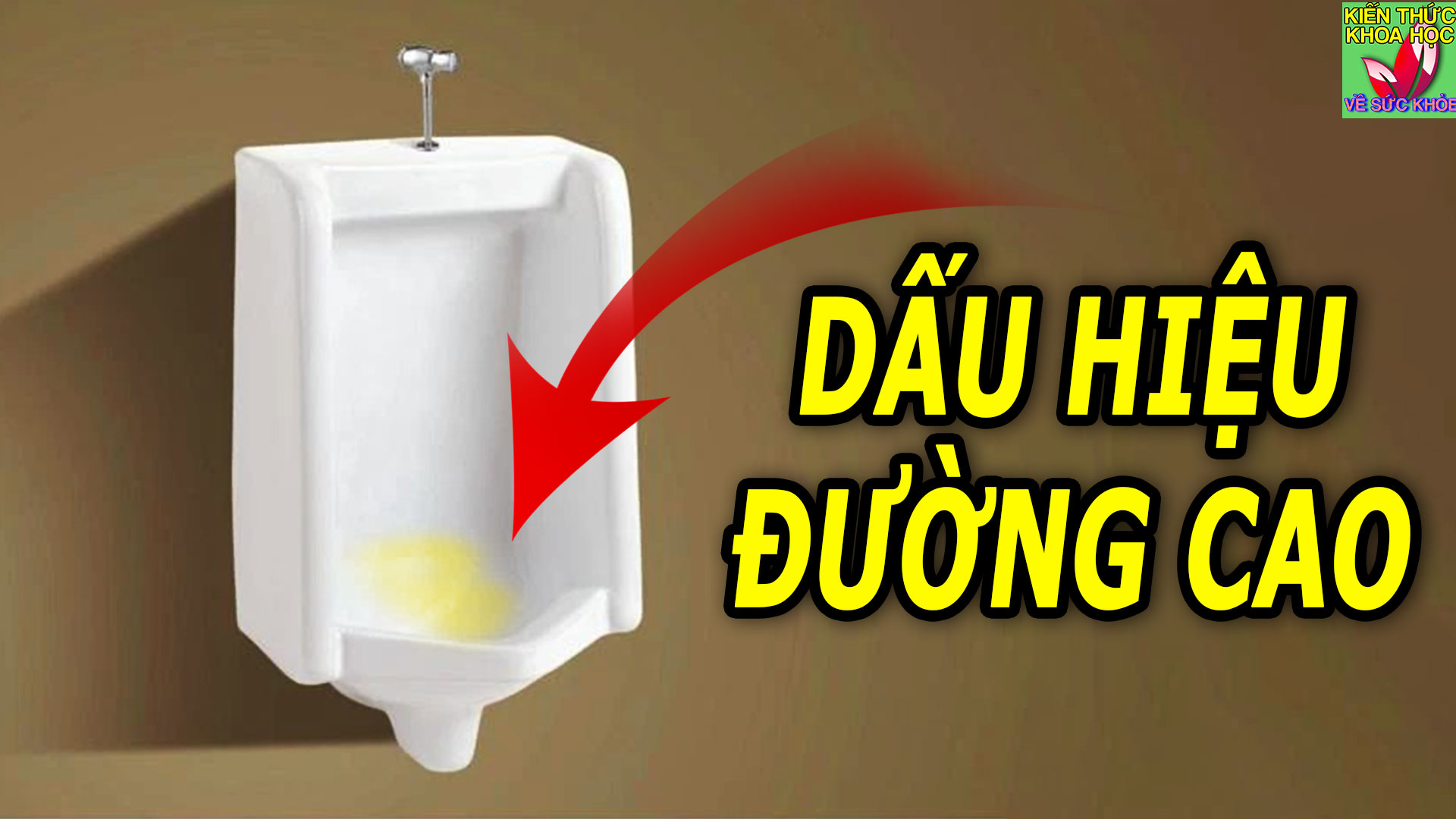 3-dau-hieu-canh-bao-duong-huyet-cao-khi-di-ve-sinh