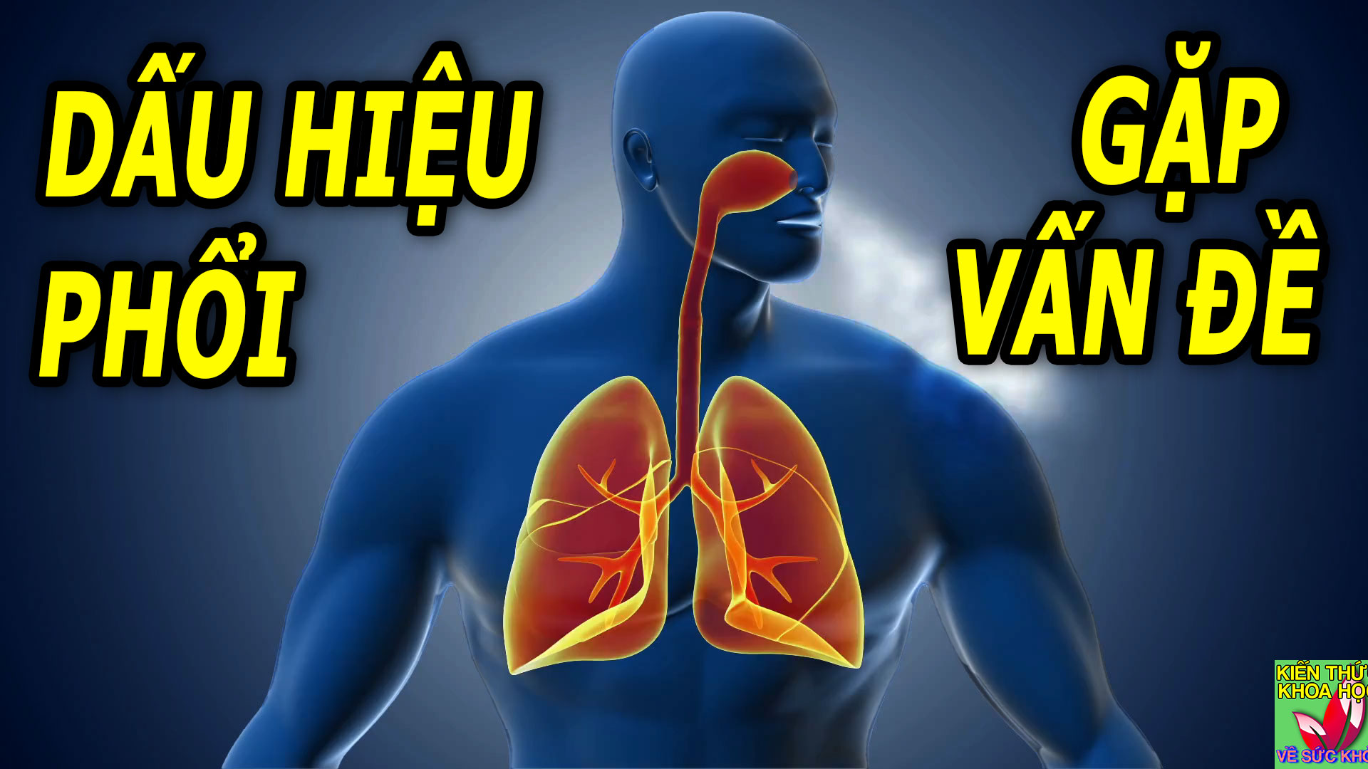 4-dau-hieu-canh-bao-phoi-co-van-de